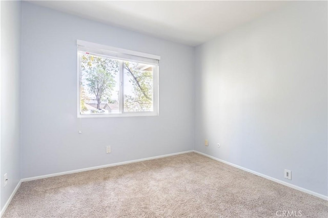 spare room with carpet floors