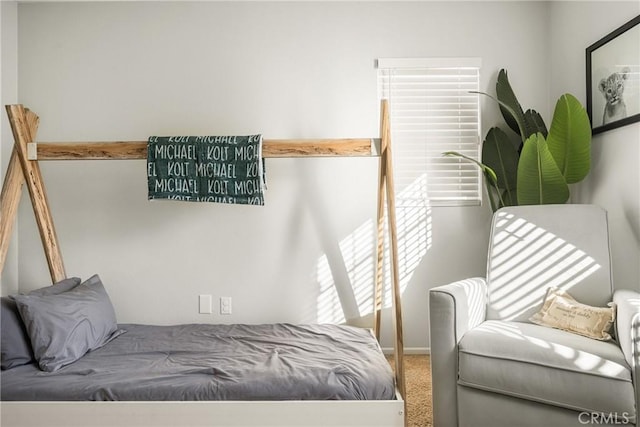 bedroom featuring carpet