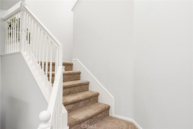 stairway with carpet flooring