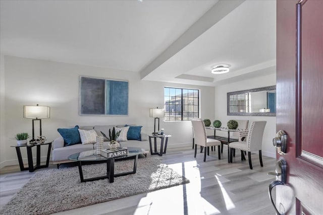 living room featuring a tray ceiling and light wood-type flooring