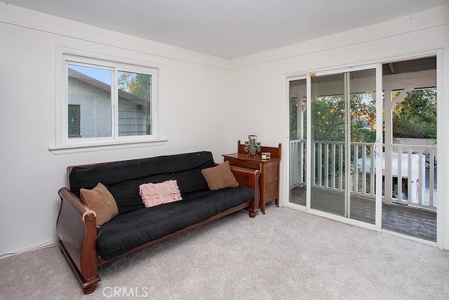 view of carpeted living room