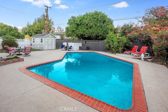 view of pool with a patio area and a shed