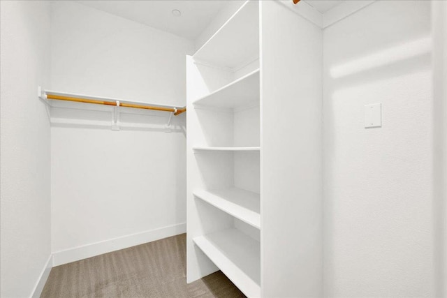 walk in closet featuring carpet floors