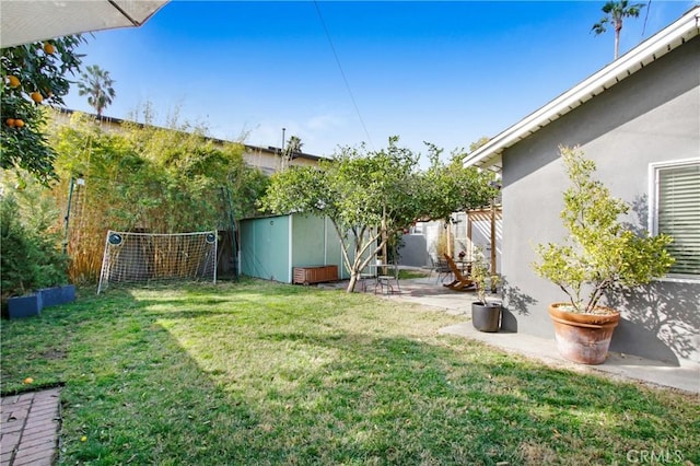 view of yard with a storage shed and a patio