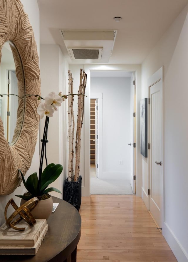 hallway featuring light hardwood / wood-style floors