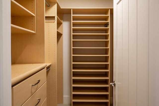 view of walk in closet