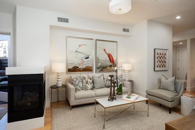 living room with a multi sided fireplace and light wood-type flooring