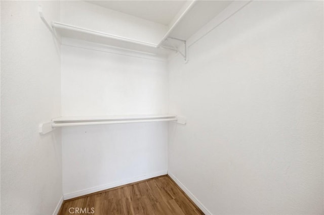 walk in closet featuring wood-type flooring