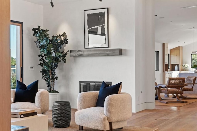 sitting room featuring a wealth of natural light and light wood-type flooring