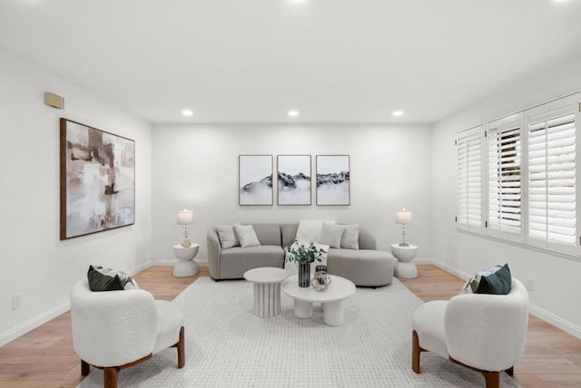 living room with light hardwood / wood-style flooring