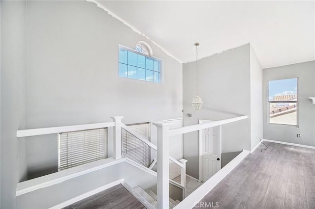 staircase with lofted ceiling, hardwood / wood-style flooring, and plenty of natural light