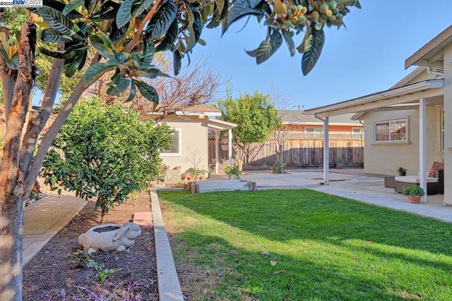 view of yard featuring a patio