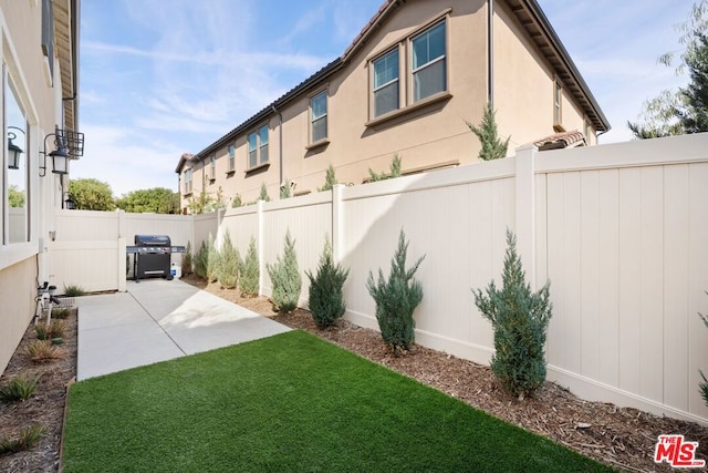 view of yard featuring a patio area