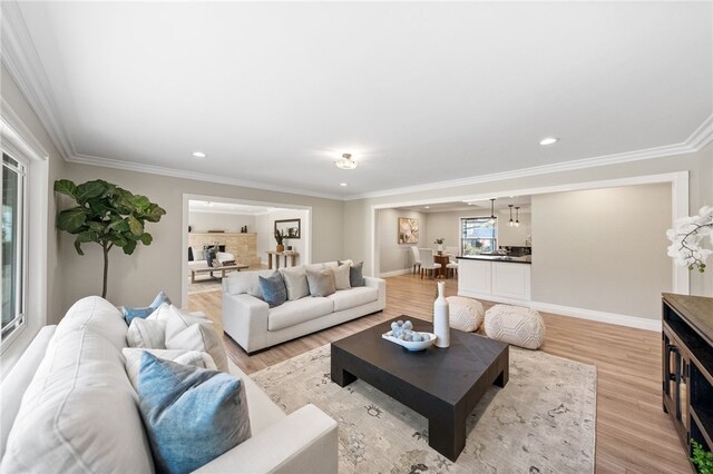 living room with crown molding and light hardwood / wood-style floors