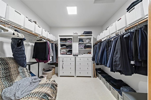 walk in closet featuring light carpet