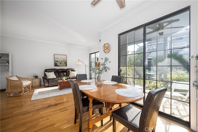 dining room with a ceiling fan, crown molding, and wood finished floors