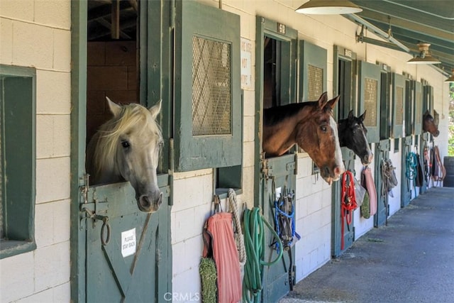 view of horse barn