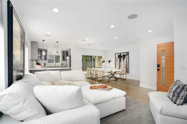 living room featuring light hardwood / wood-style floors