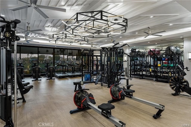 gym with hardwood / wood-style flooring and ceiling fan