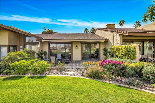 back of house featuring a yard and a patio