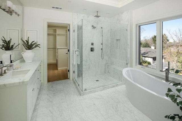 bathroom with independent shower and bath and vanity