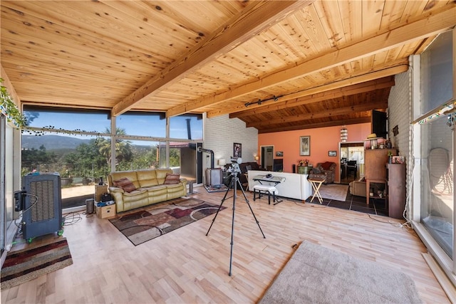 living room featuring wood ceiling, a mountain view, light hardwood / wood-style floors, and a wood stove