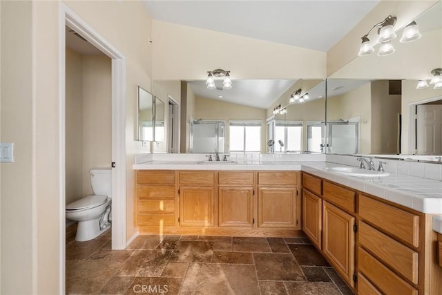 bathroom featuring lofted ceiling, vanity, a shower with door, and toilet