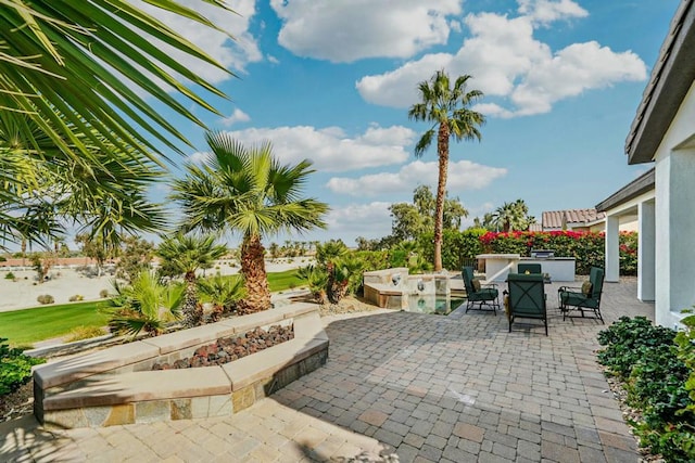 view of patio / terrace featuring an outdoor kitchen