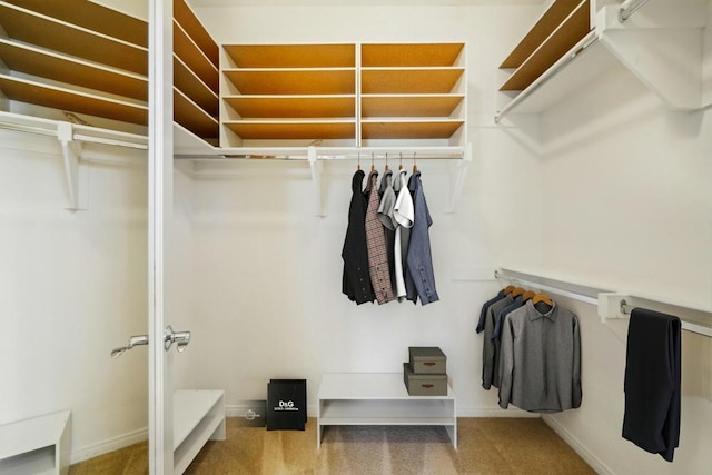 spacious closet featuring carpet flooring