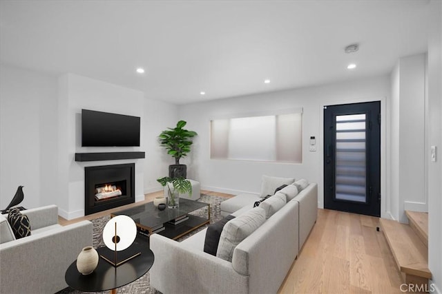 living room featuring light hardwood / wood-style flooring