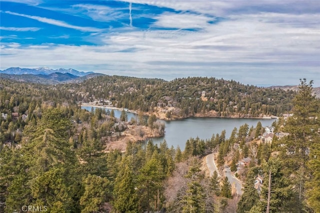 birds eye view of property featuring a water and mountain view