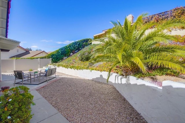 view of yard featuring a patio