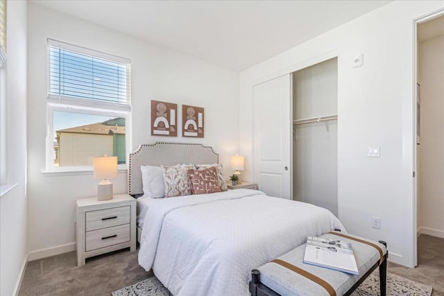 bedroom featuring carpet and a closet