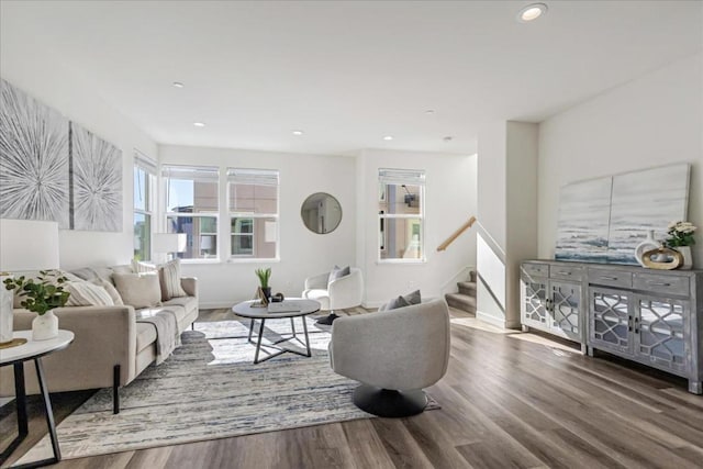 living room with wood-type flooring