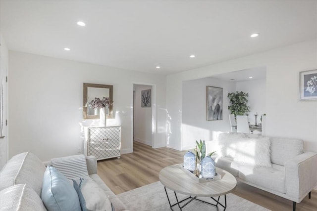 living room with light hardwood / wood-style flooring