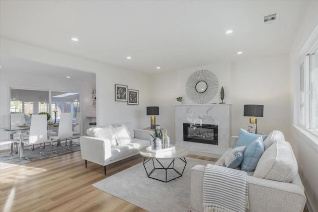 living room featuring a fireplace, a healthy amount of sunlight, and light wood-type flooring