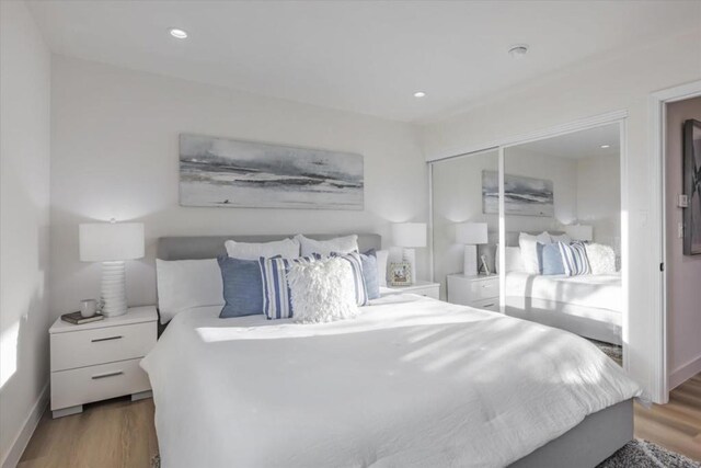 bedroom with wood-type flooring and a closet