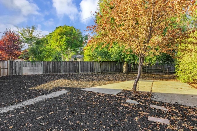 view of yard featuring a patio area