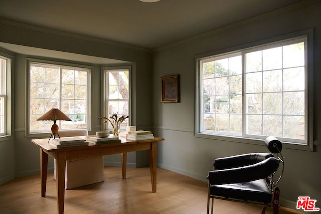 office featuring crown molding and light wood-type flooring