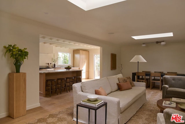 living room featuring a skylight and light hardwood / wood-style flooring