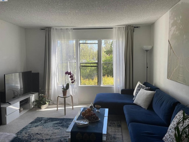 carpeted living room with a textured ceiling