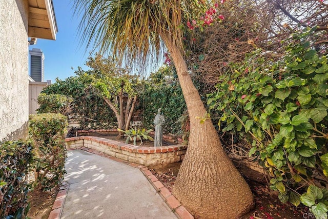 view of yard with a patio