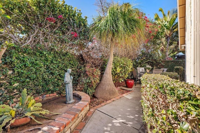 view of yard featuring a patio area