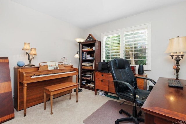 office featuring light colored carpet