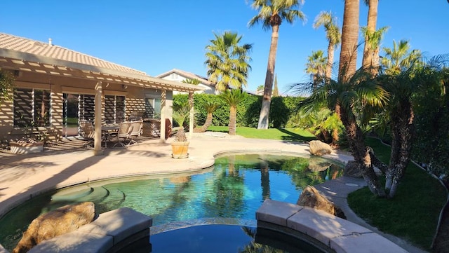 view of pool with a patio area