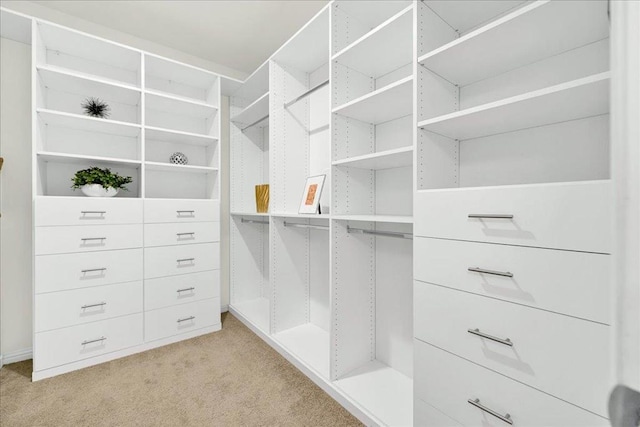 spacious closet with light carpet