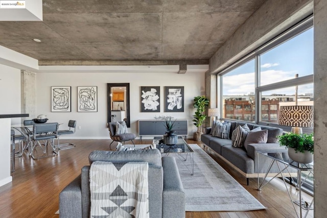 living room featuring hardwood / wood-style floors