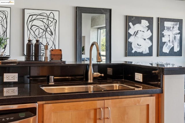 room details with sink and dishwasher