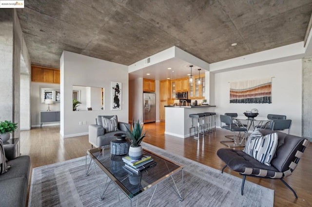 living room featuring hardwood / wood-style floors