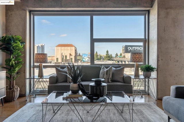 living room with hardwood / wood-style floors